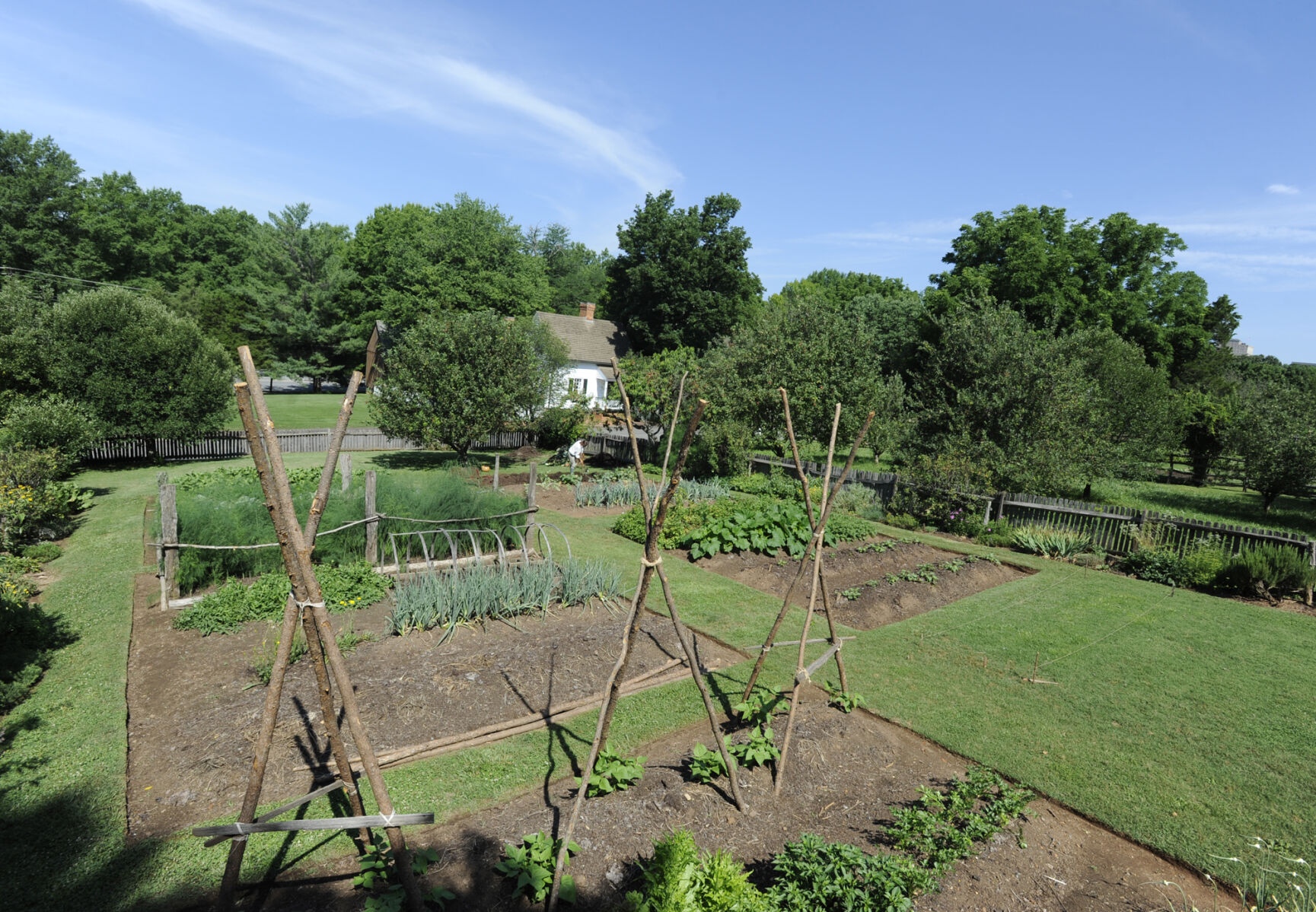 Miksch House of Old Salem garden